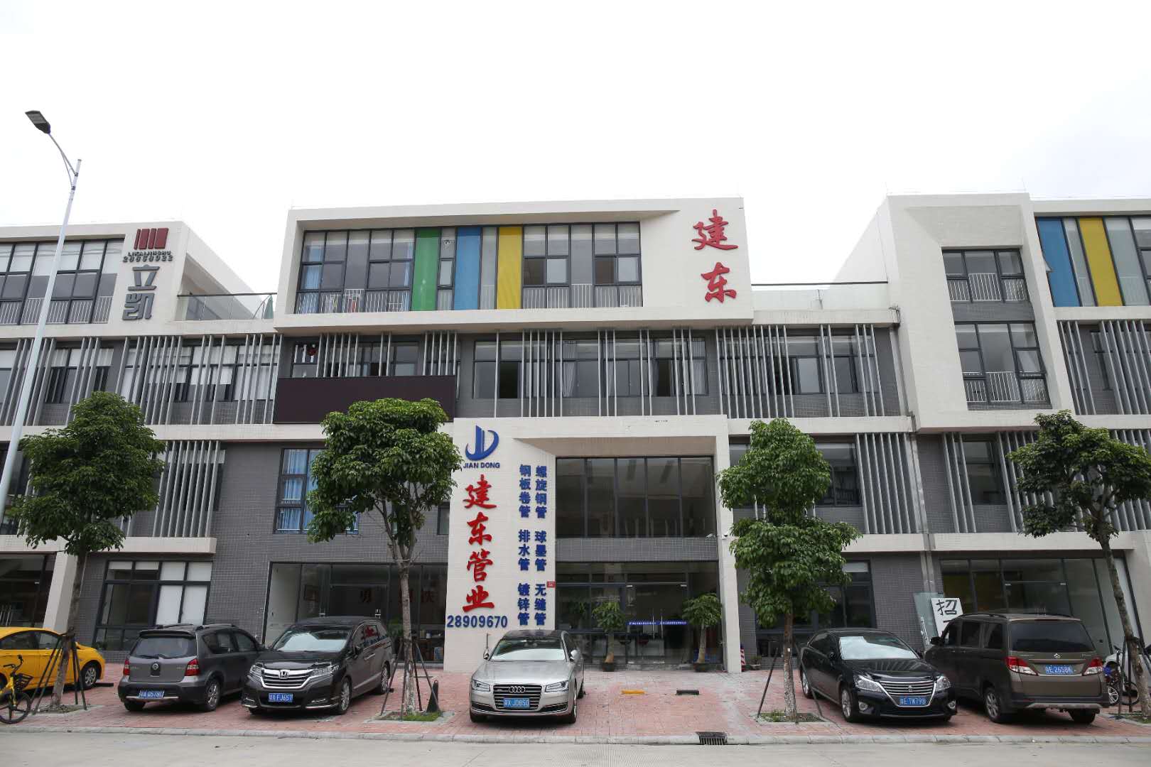 图片