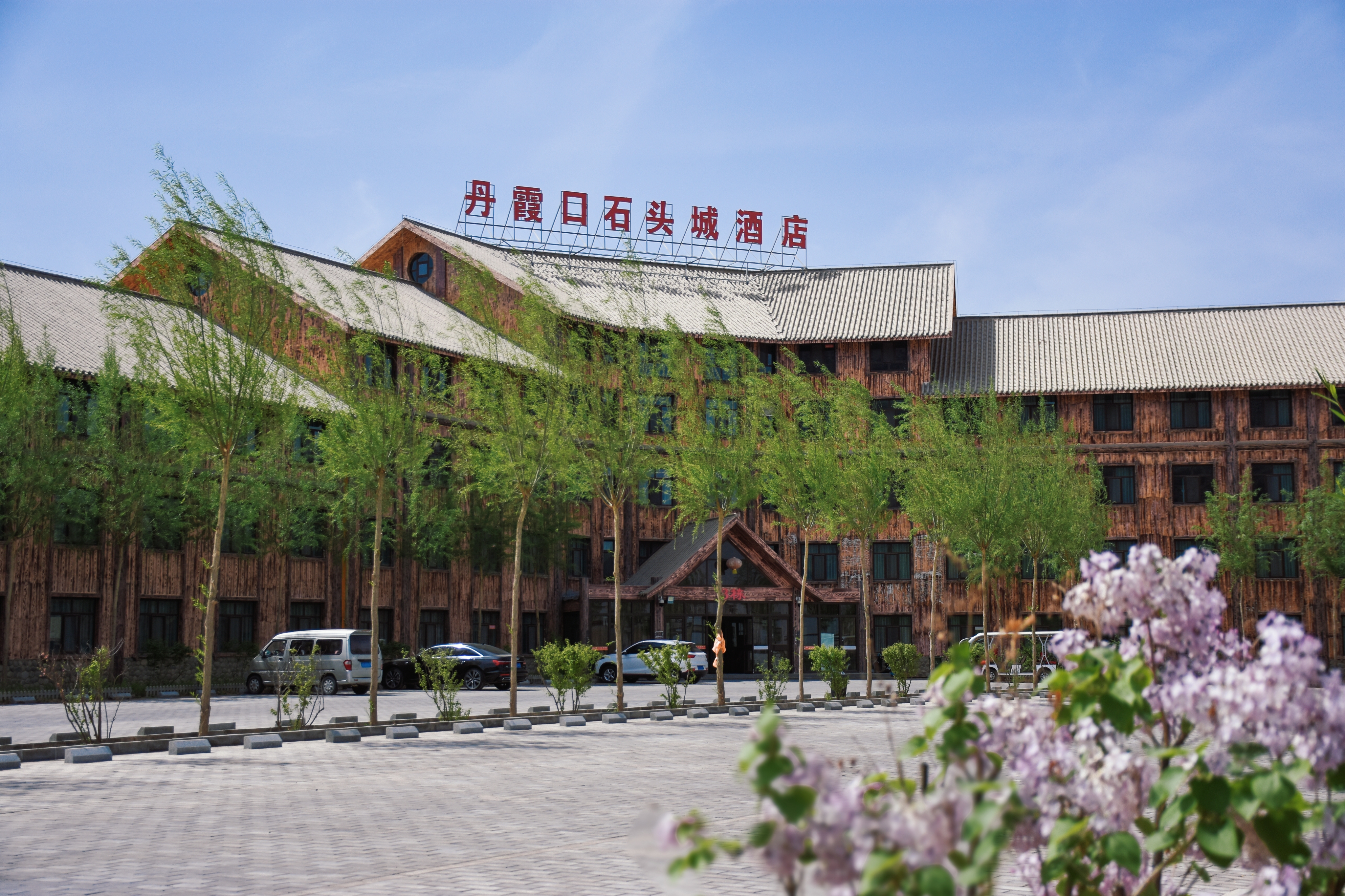 图片