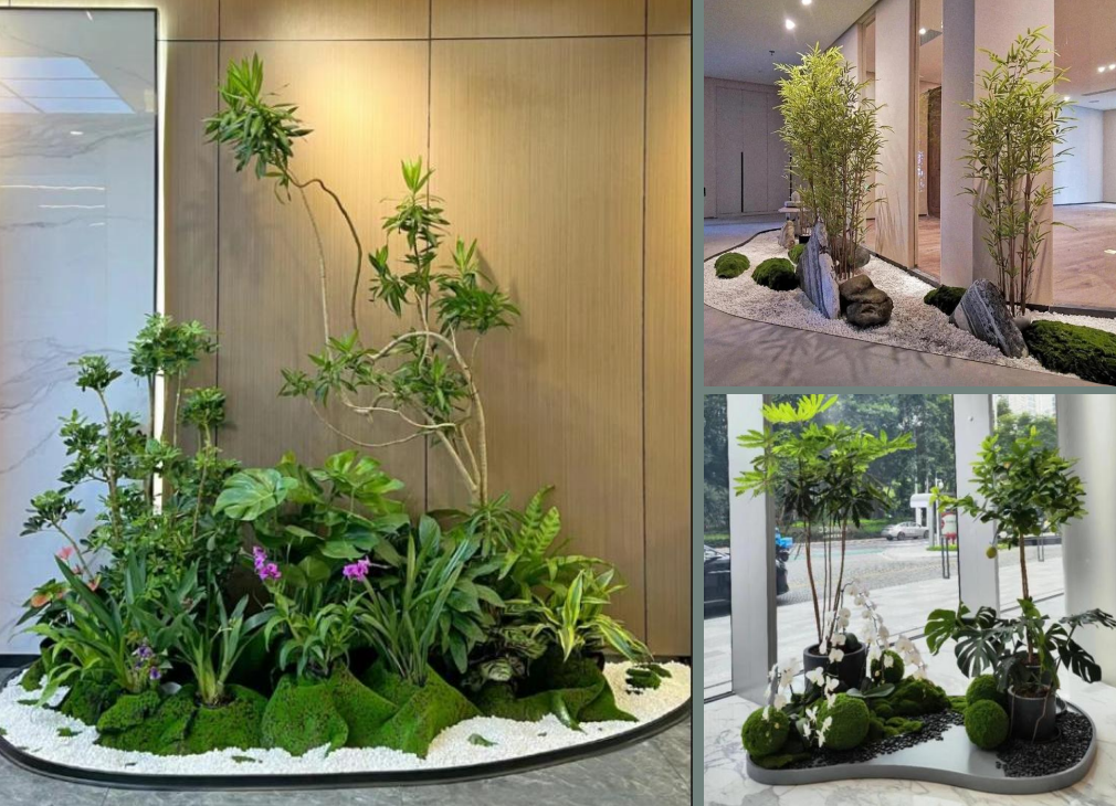 黄浦办公绿植租赁     