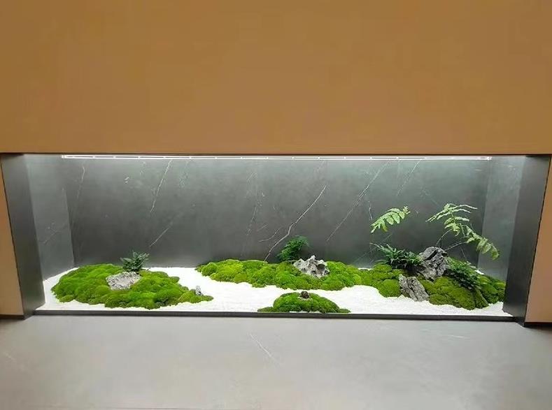 天门永生苔藓造景