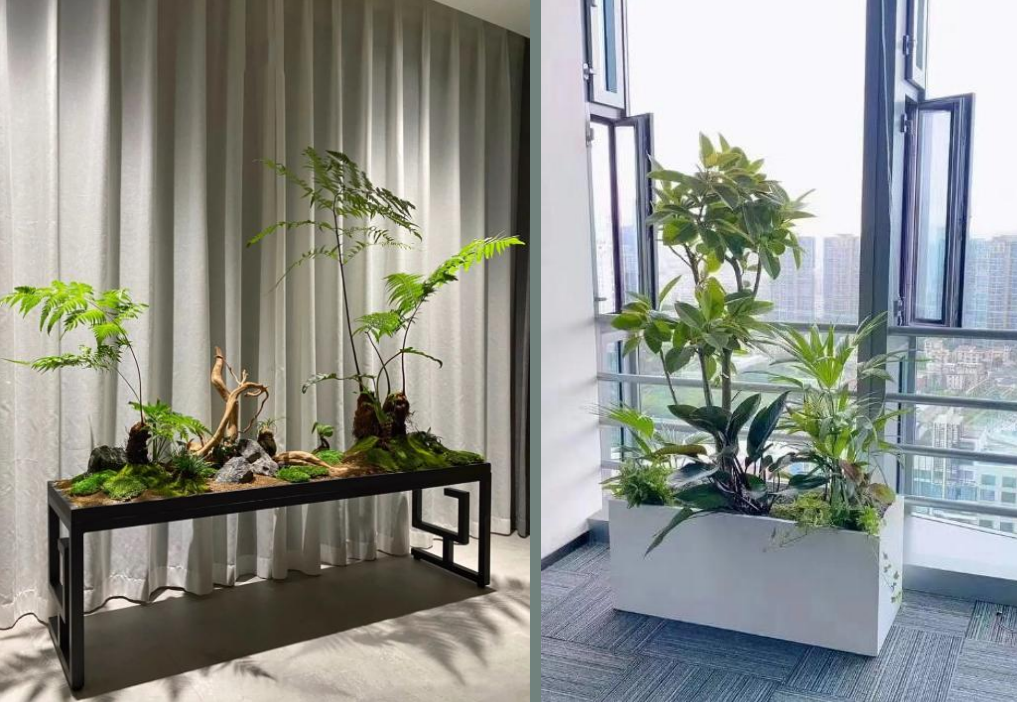 黄浦办公绿植租赁     