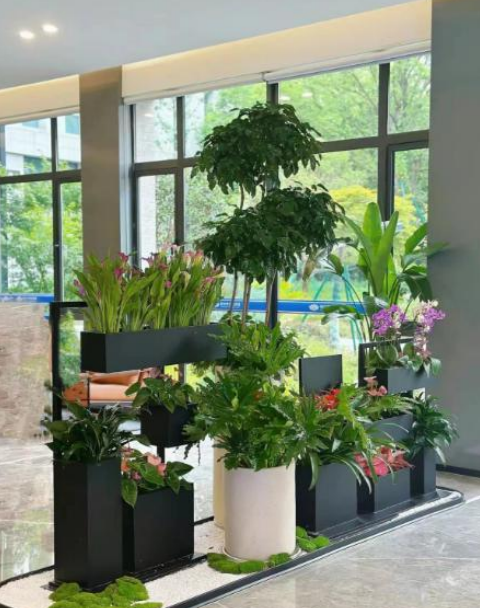 黄浦办公绿植租赁     